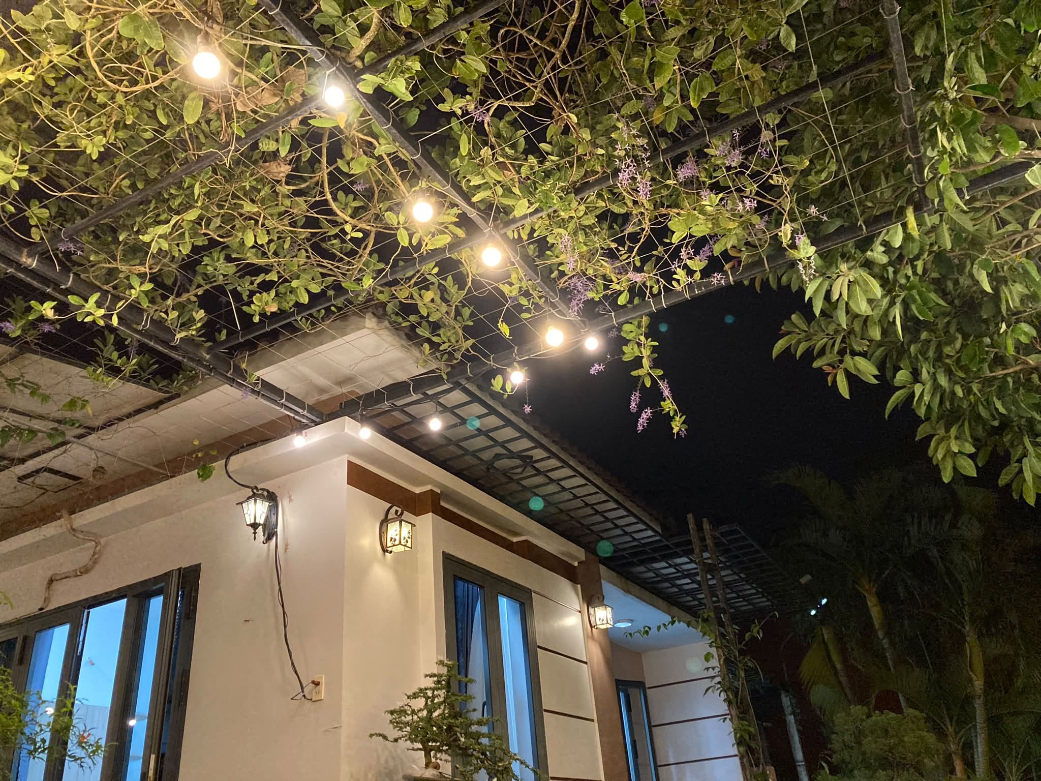 Đến giờ nhà lên đèn.